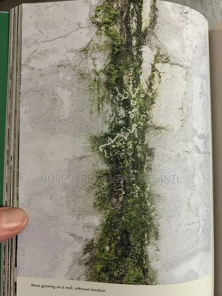 Algae Killer