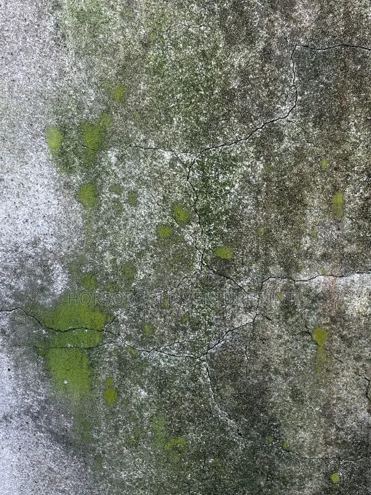 Algae Killer