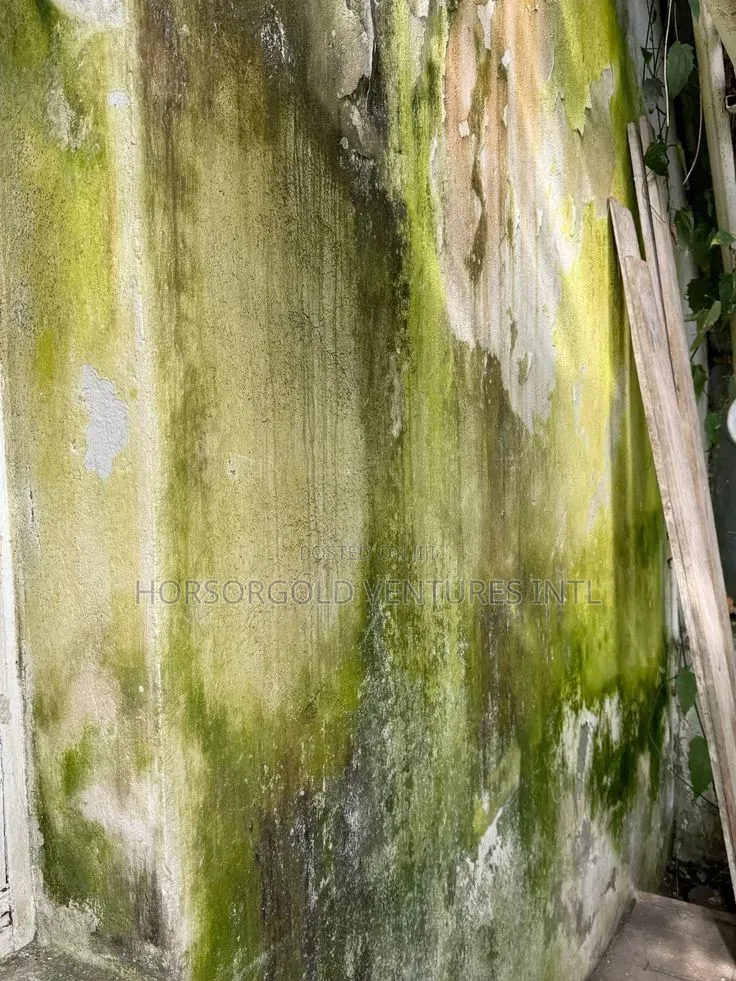 Algae Killer