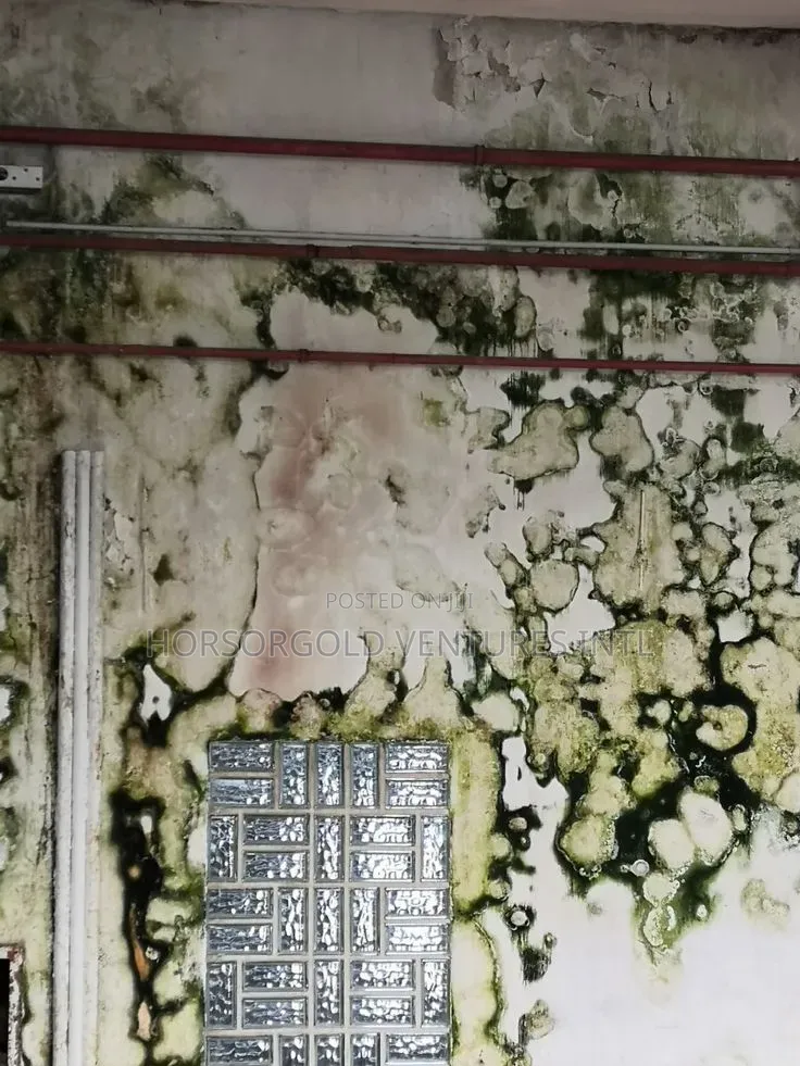 Algae Killer