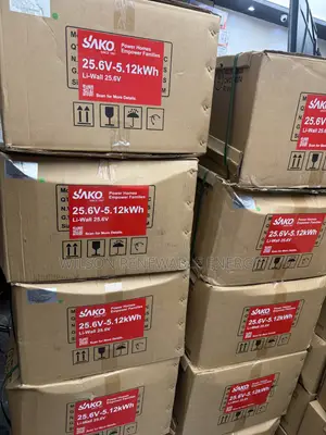 5kwh 24v Sako Lithium Battery