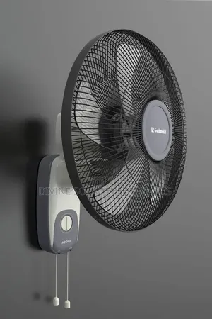 Wall Mounted Fan