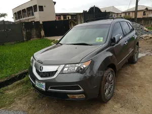 Acura MDX 2010 Gray