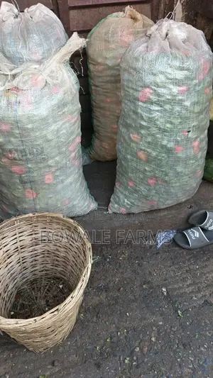 Export Grade Red & Green F1 Super Habanero Pepper - 1⁄2ton Weekly