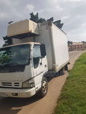 Isuzu Truck for Sale