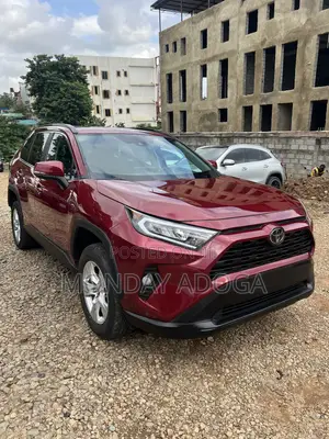 Toyota RAV4 LE AWD 2019 Red