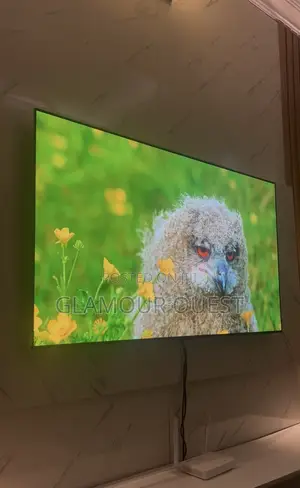 LG Oled C4 55"