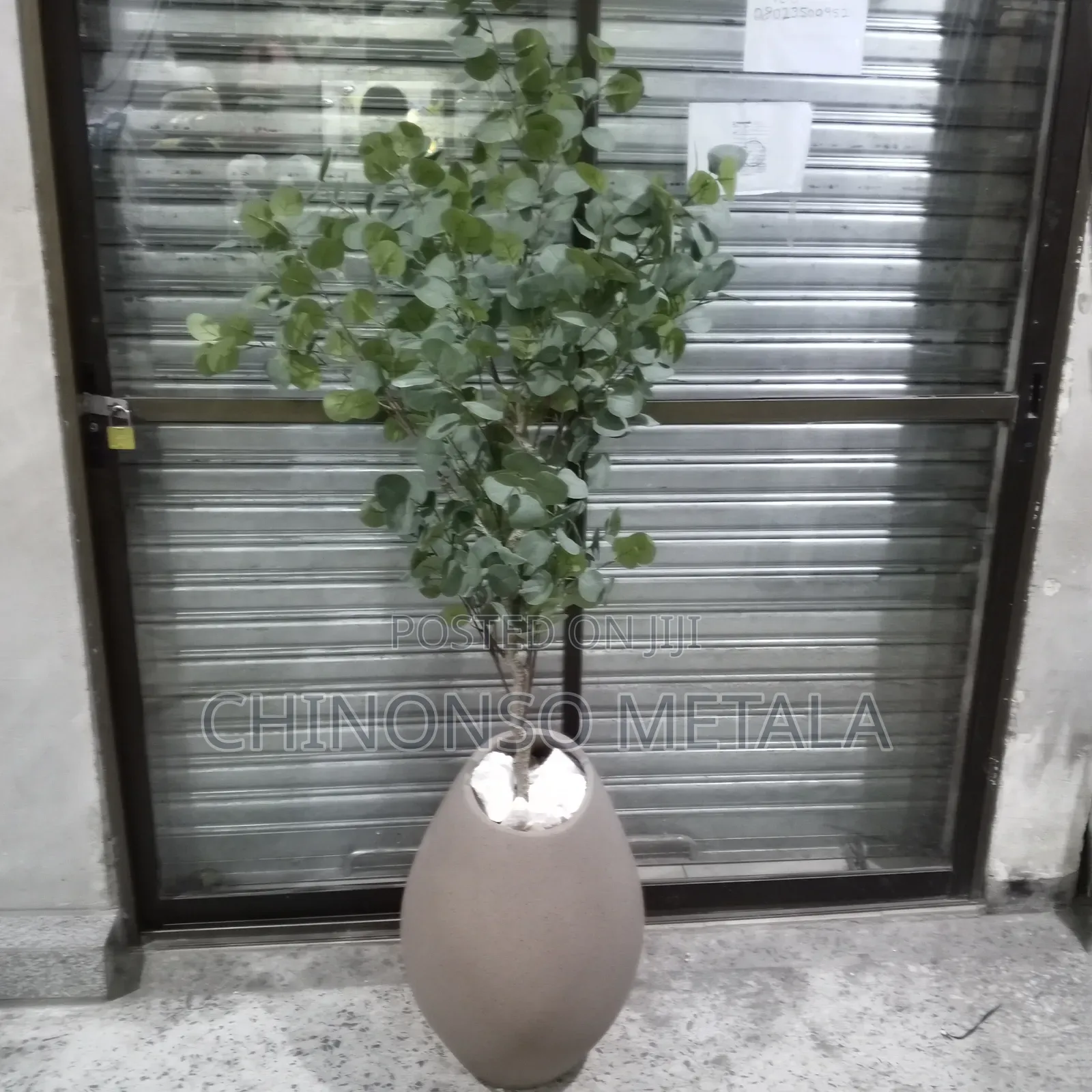Nordic Ceramic Pot and Eucalyptus Plant