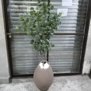 Nordic Ceramic Pot and Eucalyptus Plant