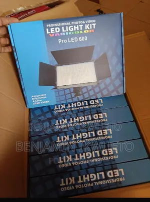 LED 600 Steady Light