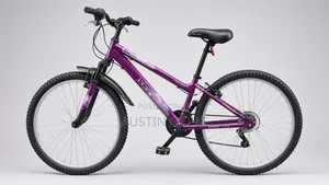 Bicycle Sale
