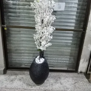 Ceramic Pot and Weeping Fig Plant
