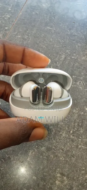 Wireless Bluetooth Earbuds With Metallic Frame