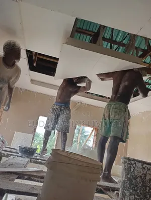 Professional Ceiling Fitting Works