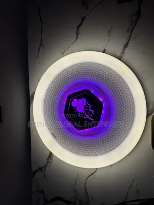 Ceiling Chandelier