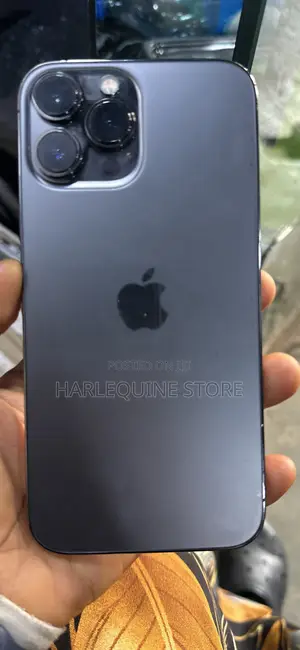 Apple iPhone 13 Pro Max 256 GB Gray