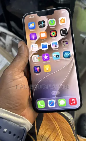 Apple iPhone 13 Pro Max 256 GB Gray