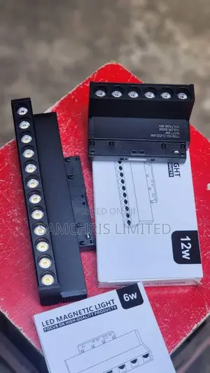 Magnetic Profile Light