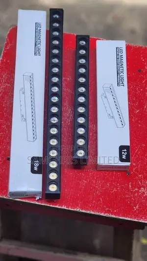 Magnetic Profile Light