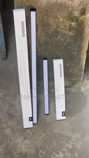 Magnetic Profile Light