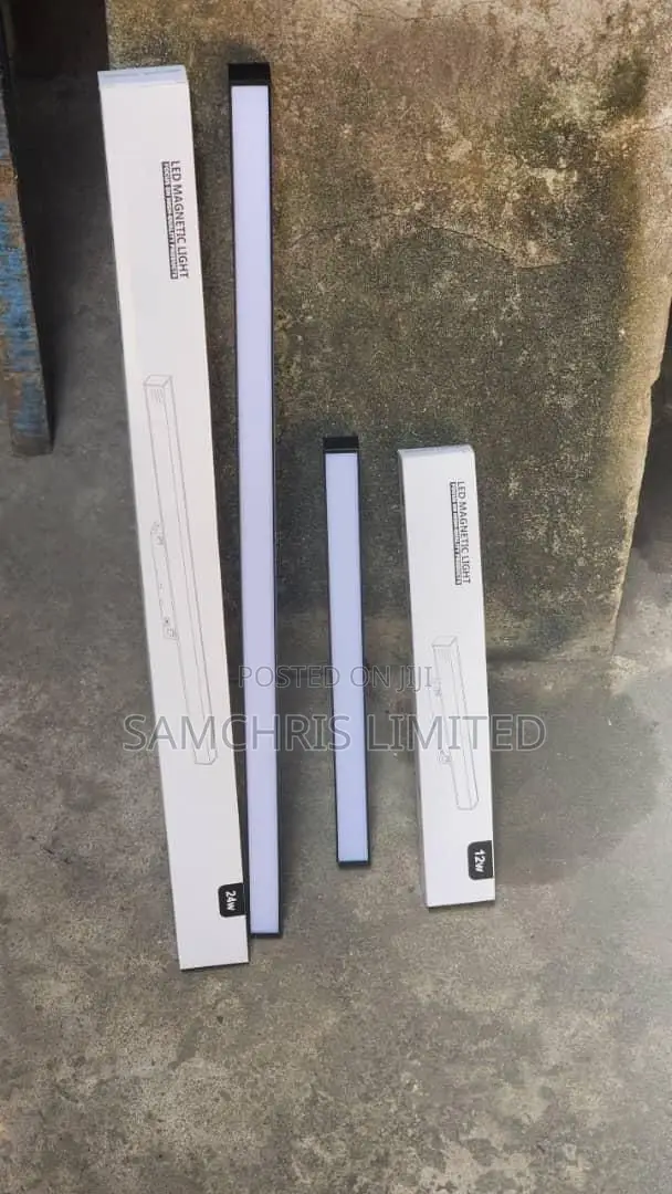 Magnetic Profile Light