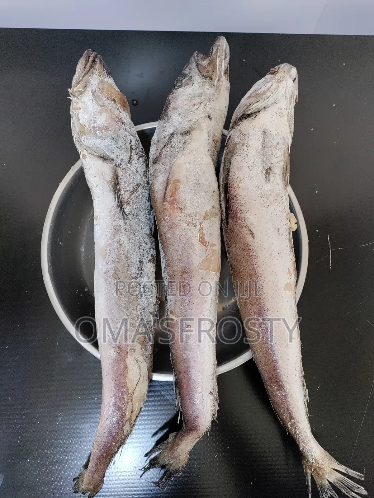 Hake Fish(big) Panla