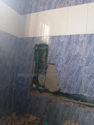 Plumber Service