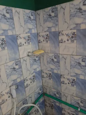Plumber Service