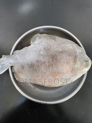 Owere Fish