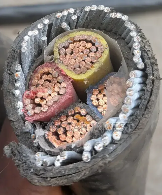 Armored Cable Original Ekectrical Cable