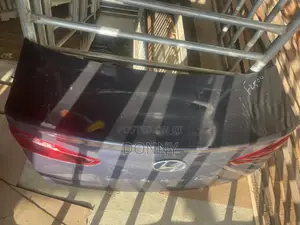 Boot for Hyundia Elantra 2019