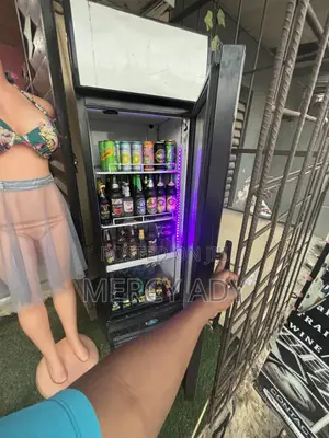 Chiller for Indoor/Outdoor