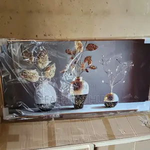 Modern Wall Picture Frame