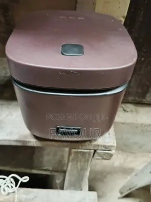 Mini Rice Cooker