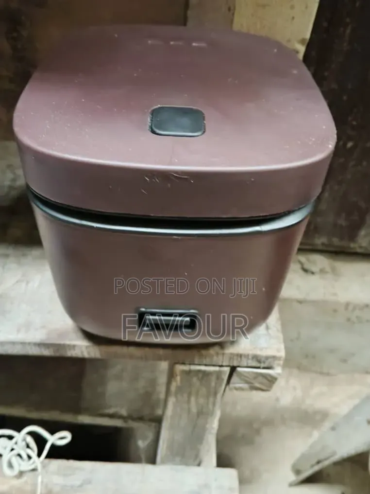 Mini Rice Cooker