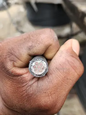 2.5mm X 7core Armored Cable