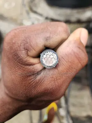 2.5mm X 7core Armored Cable