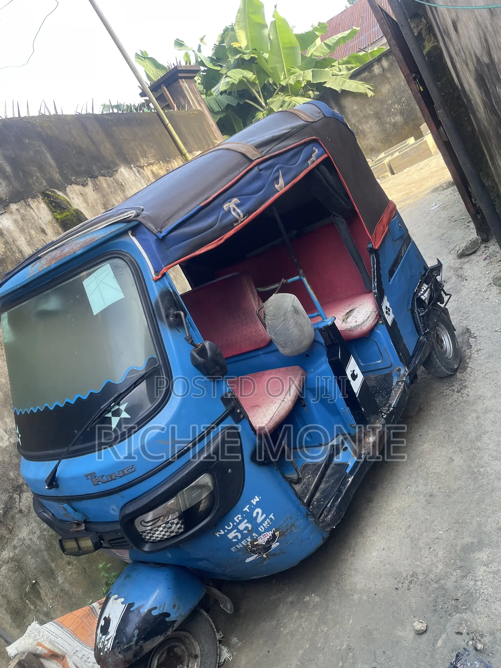 Bus 2024 Blue