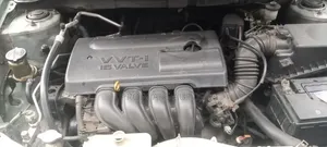 Toyota Corolla 2003 Green