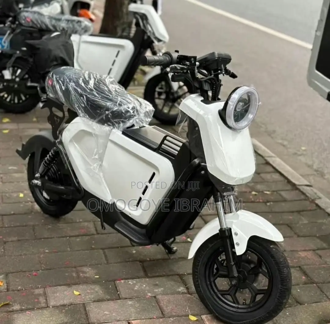 New Tricycle 2025 Green