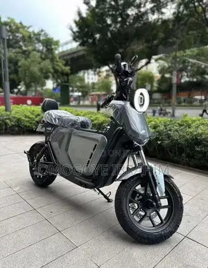 New Tricycle 2025 Green