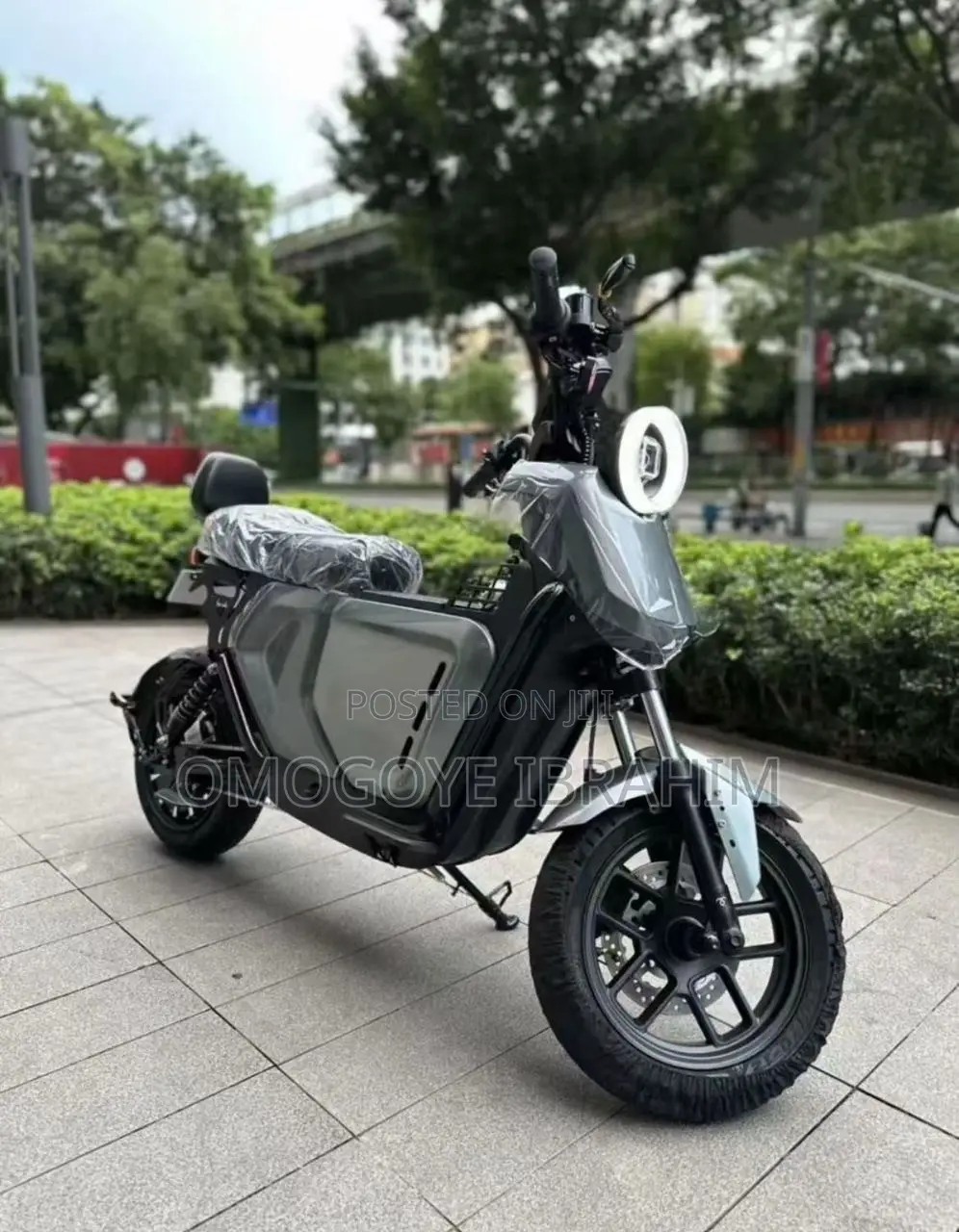 New Tricycle 2025 Green