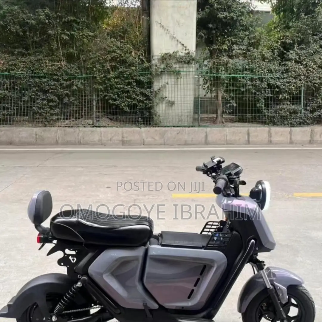 New Tricycle 2025 Green