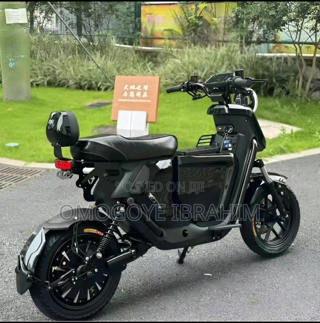 New Tricycle 2025 Green