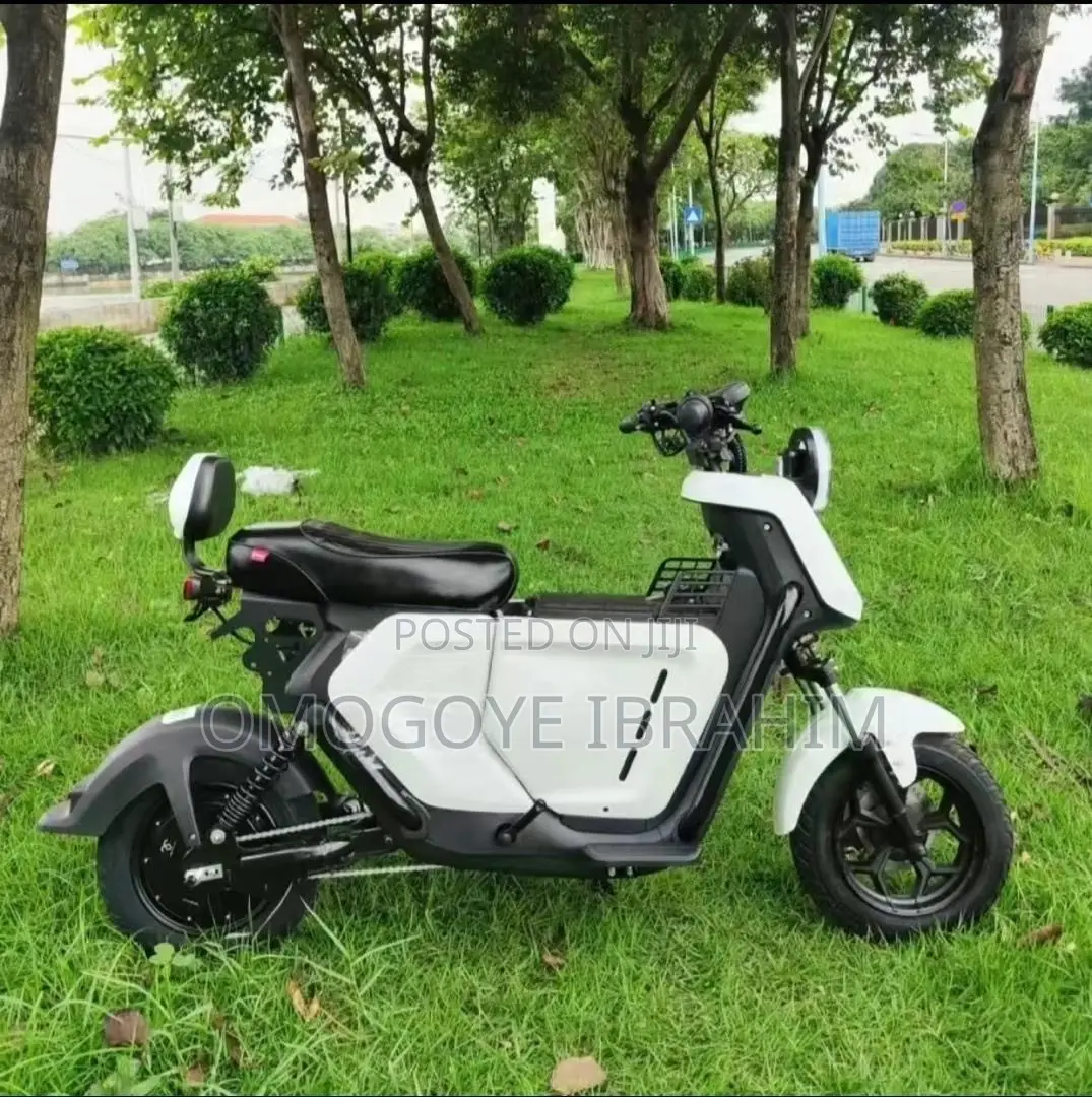 New Tricycle 2025 Green