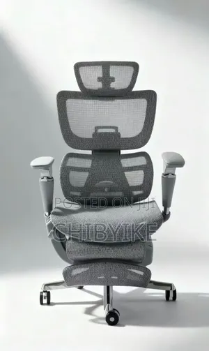 Luxury Ergonomic Office Chair With Footrest - Reclines to Bed - Mesh