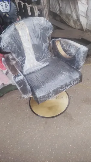 Salon Chair