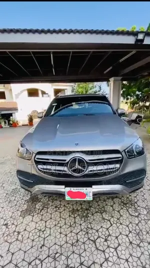 Mercedes-Benz GLE-Class 2020 Gray