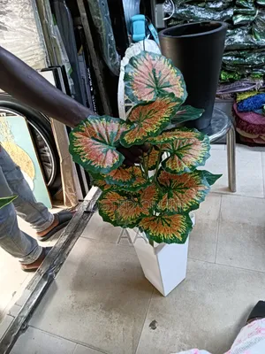 Artificial Flower and Plastic Vase