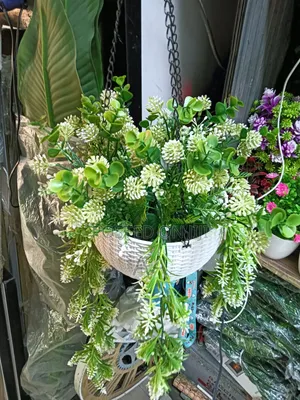 Plastic Vase and Flower